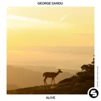 Alive — George Sandu