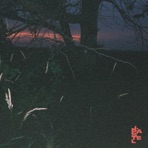 Like I Once Was - Single