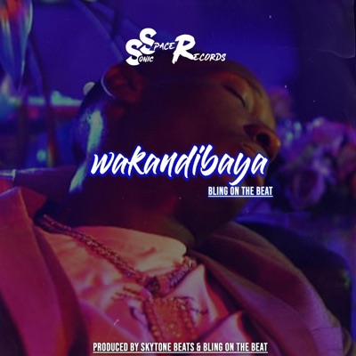 Wakandibaya - Single