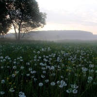 Legion of the Legendary (X