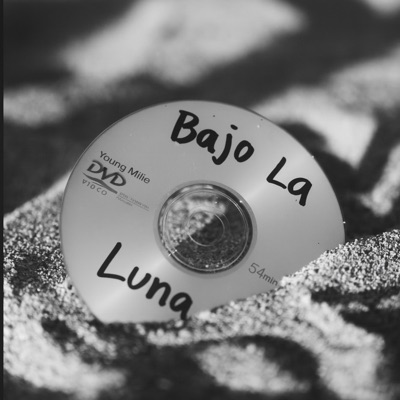 Bajo La Luna