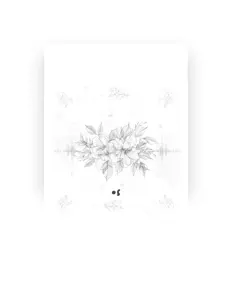 聆聽 Os、觀看音樂影片、閱讀小傳、查看巡演日期等！