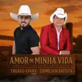 Amor de Minha Vida (Ao Vivo)