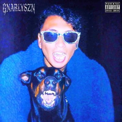 GNARLYSZN
