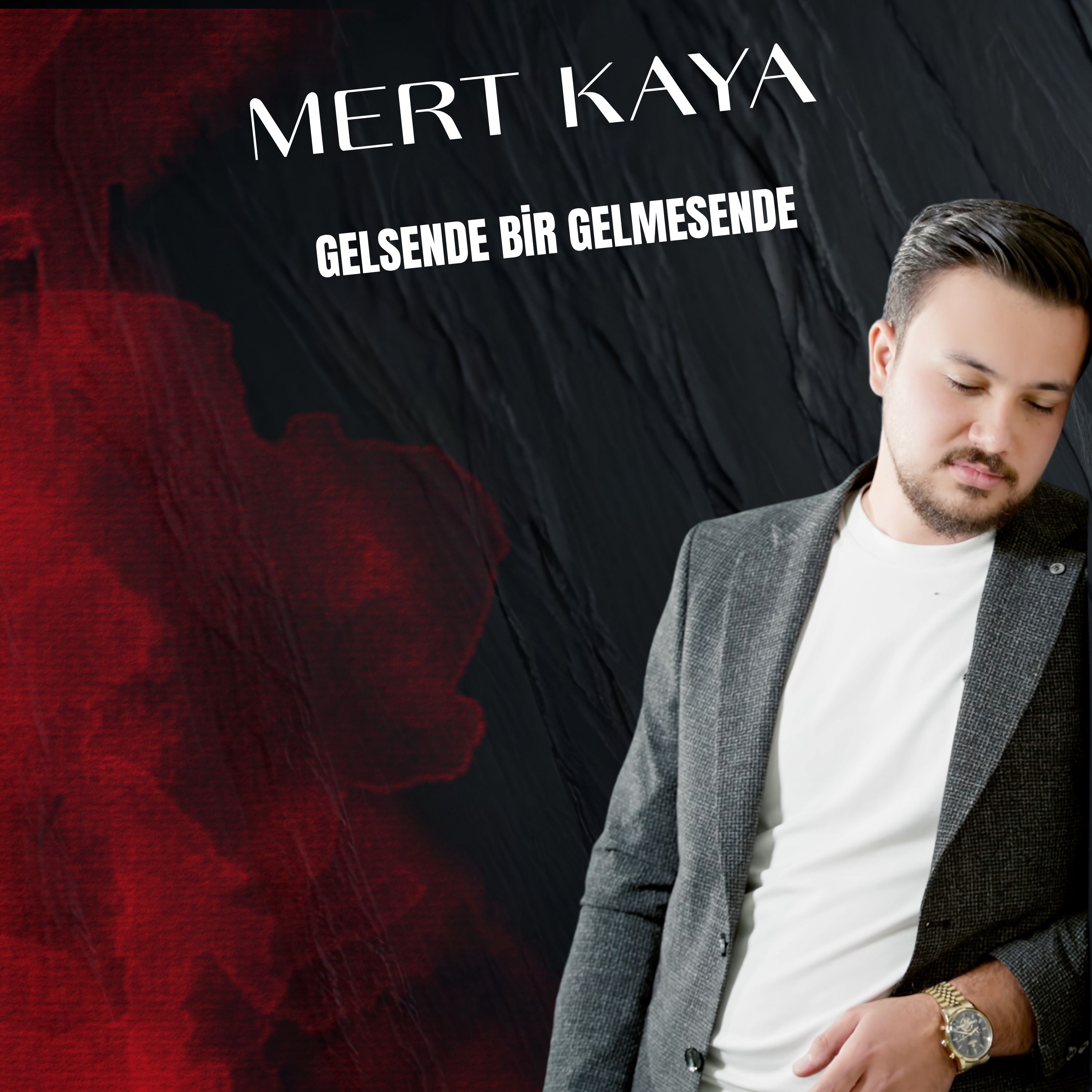 Gelsende Bir Gelmesende - Single