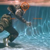 food chain - Single - AYUSH