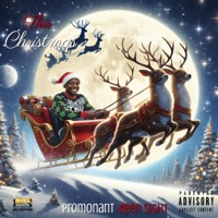 This Christmas (feat. Keen Sight) - Single - Promonant