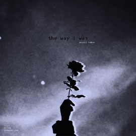 the way i was (enjoii remix) vowl., Remnant.Exe & RYYZN
