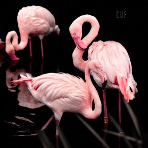 Cup - Single