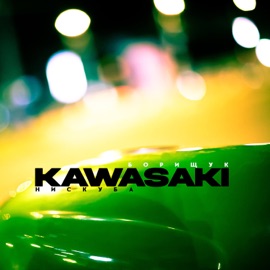Kawasaki Борищук & Нискуба