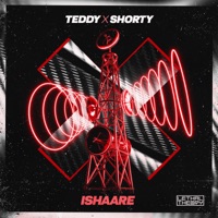 Ishaare - Single - Teddy & DJ Shorty