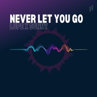 Never Let You Go - Single - Lupe X Sunny