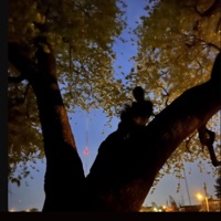 Pick Up - Single - BLXNKSPXC3 Eli