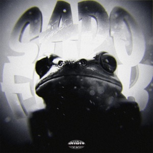 SAPO FUNK - Single