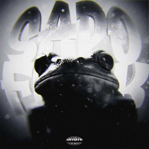 SAPO FUNK - Single