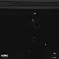 18 SNVL - Single - Bornsinnv