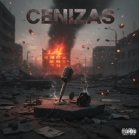 Cenizas (feat. Mr Melt) - Single - Flay_gali