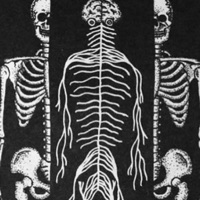 gradually - Single - Jato Fett