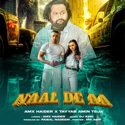 Naal dee aa (Amx Haider) slowedreverb) (feat. Tayyab amin Teja) - Single