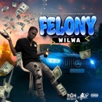 Felony - Single
