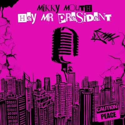 hey mr. president (Radio Edit) - Single