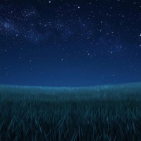 繁星之下 - Single - YON