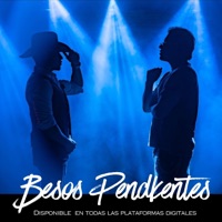 Besos Pendientes (feat. Diego Villacis DVM) - Single - Anderson Raura