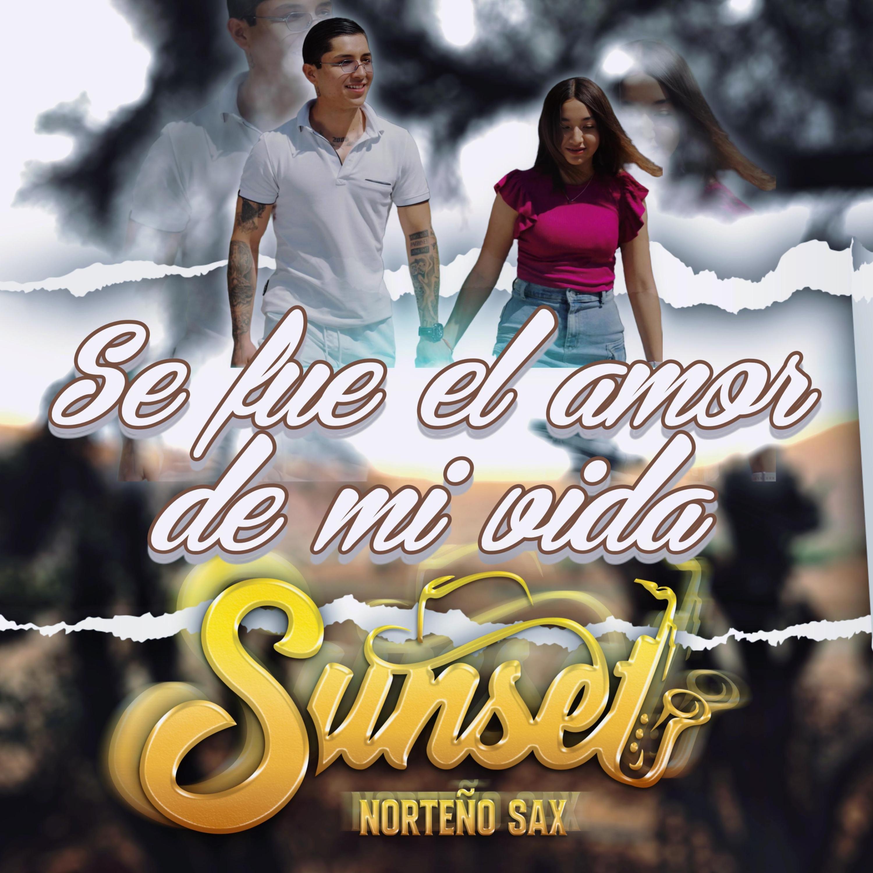 Se Fue El Amor De Mi Vida - Single