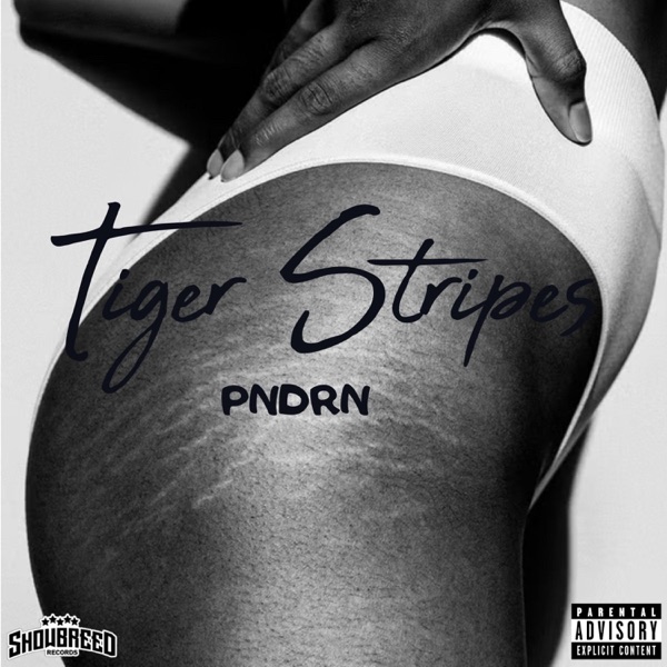 Tiger Stripes - Single
