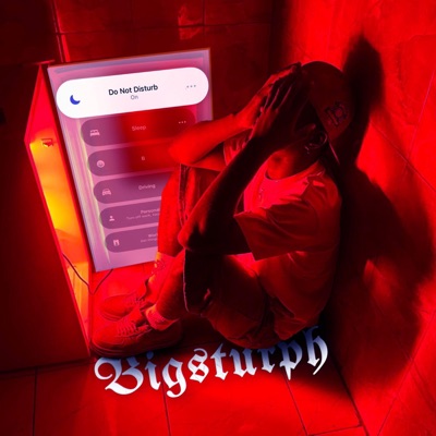 Do Not Disturb - Single