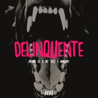 Delinquente (feat. HANZORY) - Single - Menino GS & MC TUTZ