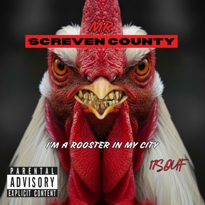 Mr Screven County