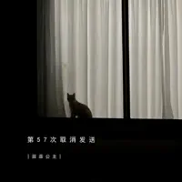 第57次取消发送 (加速版) — 菲菲公主