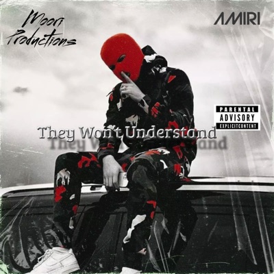 They Wont Understand - Single