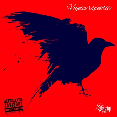 Vogelperspektive - Single