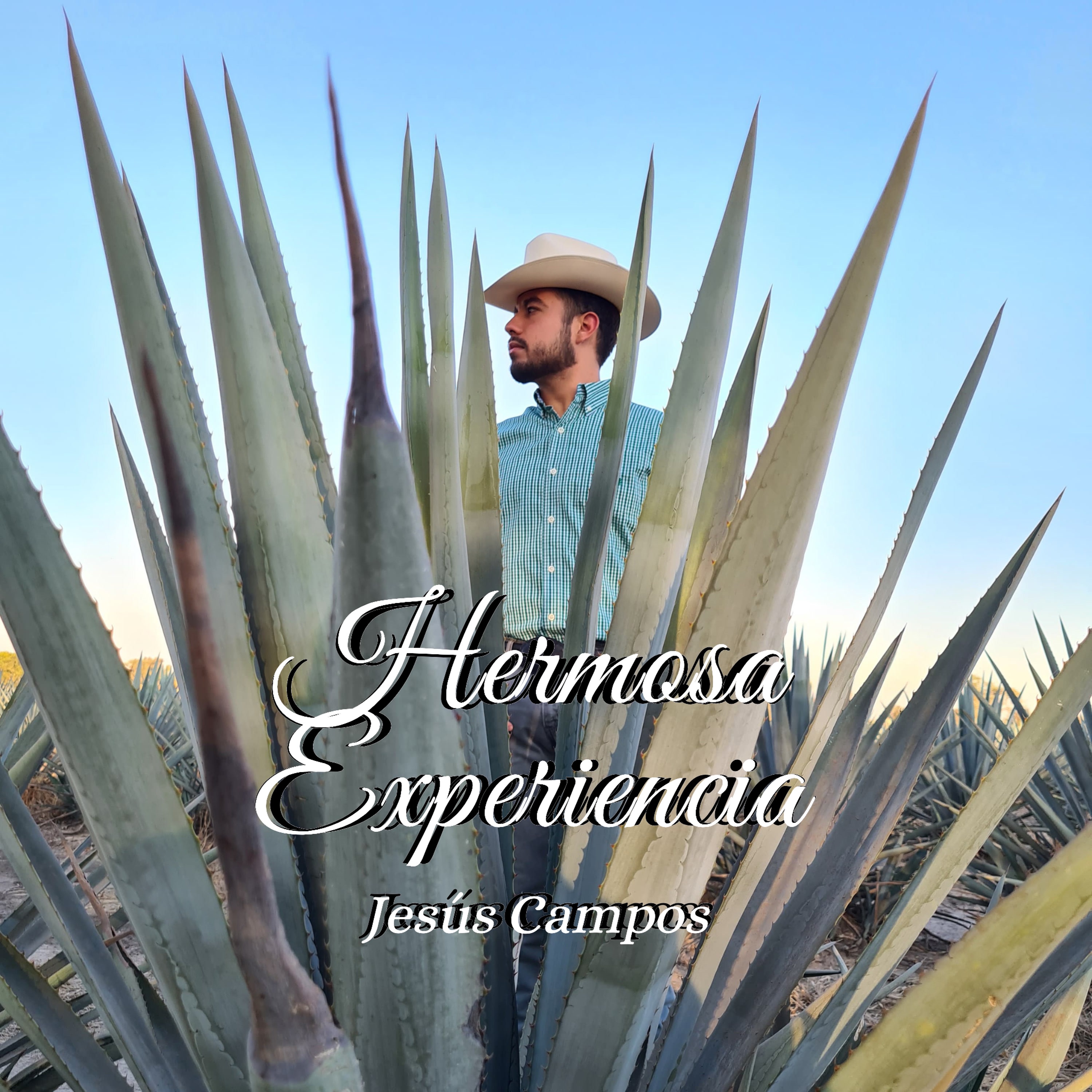 Hermosa Experiencia - Single