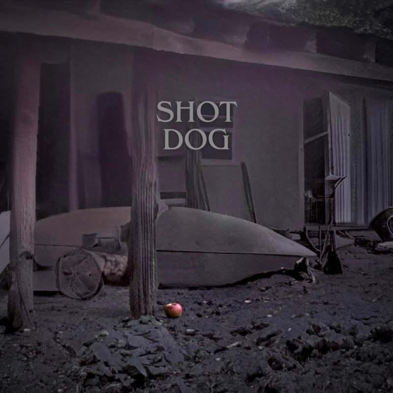 Shot Dog - Single