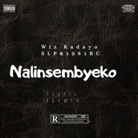 Nalinsembyeko - Single - WIZ KADAYO
