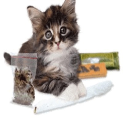 captions (feat. sxnc) - Single