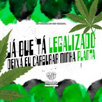Já Que Tá Legalizado Deixa Eu Carburar Minha Planta - Single - DJ JS7 Original & MC Buraga