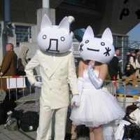 too late - Single - kiwiwi