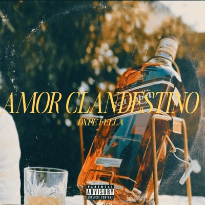 Amor Clandestino - Single