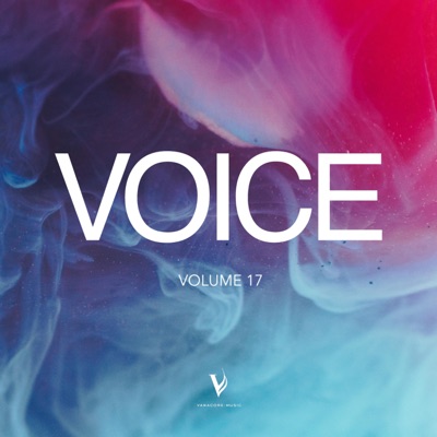 Voice, Vol. 17