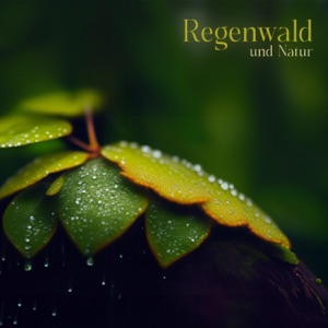 Regenwald und Natur: Befreien Sie Ihren Geist und entspannen Sie sich besser, tiefe Wellenmeditation und Schlaf