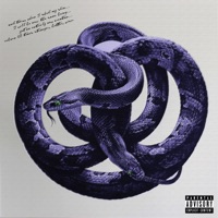 REBORN // stronger 10x - Single - Walt From.The.Future