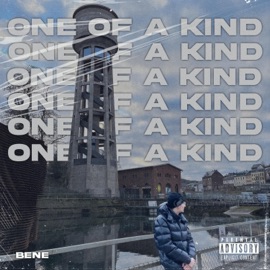 Two of a kind (feat. Solo3vier) bene
