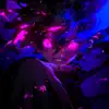 Montagem rave eterno