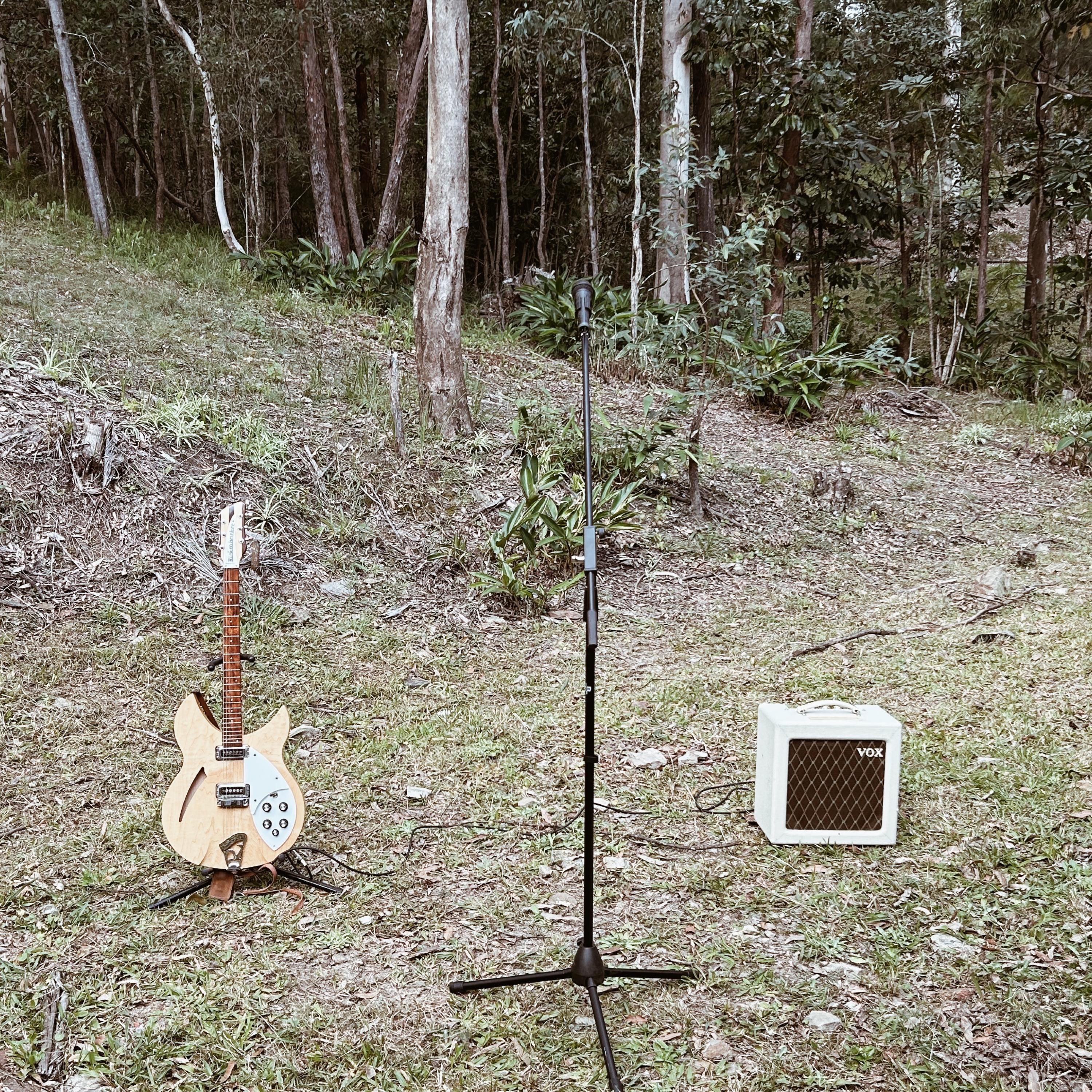 Accept the New You - Single