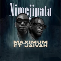 Nimejipata (feat. Jaivah) - Single - Maximum Tz