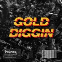 Gold Diggin (Extended Mix) - Single - Promi5e